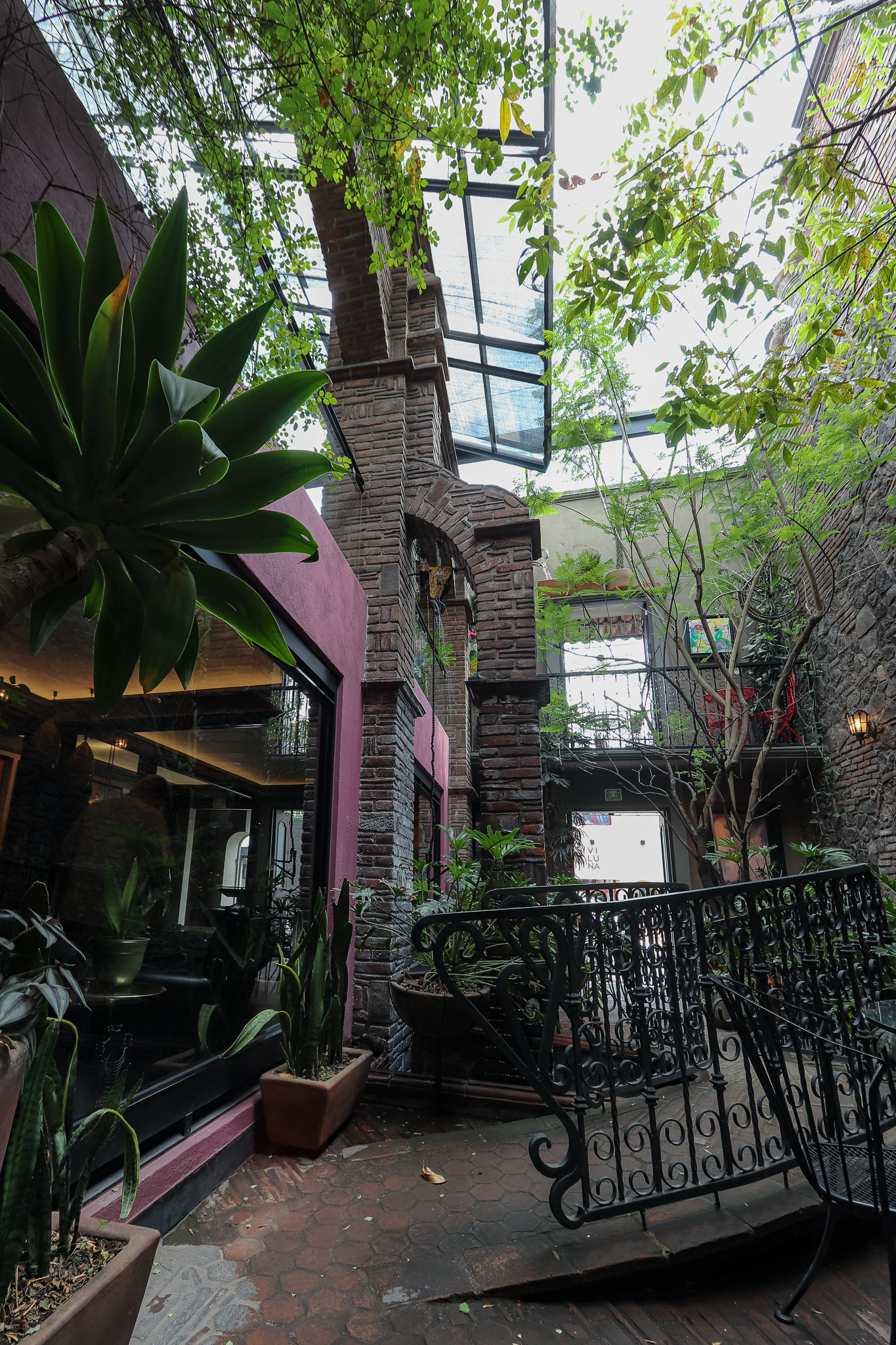 Cus Cus Cus Santuario — patio interior con vegetación